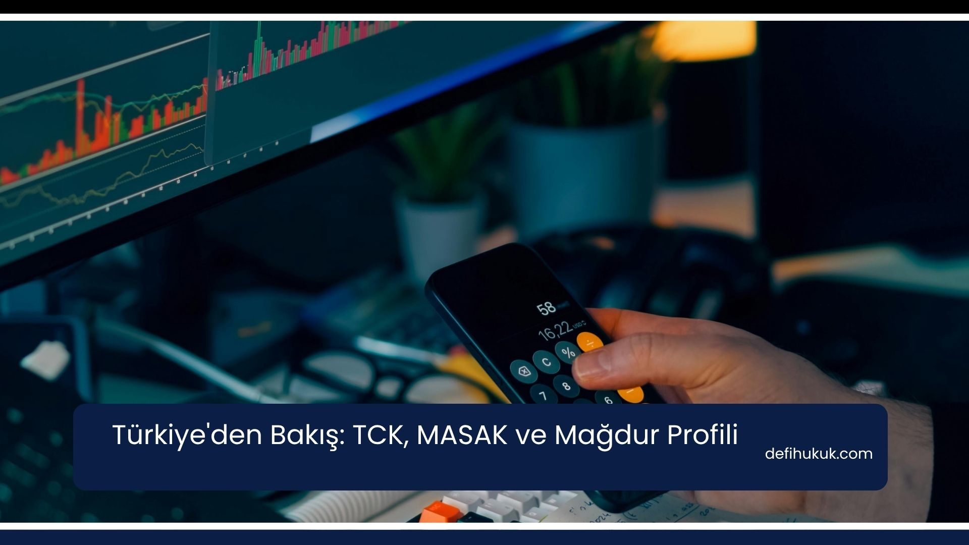 Türkiye'den Bakış: TCK, MASAK ve Mağdur Profili